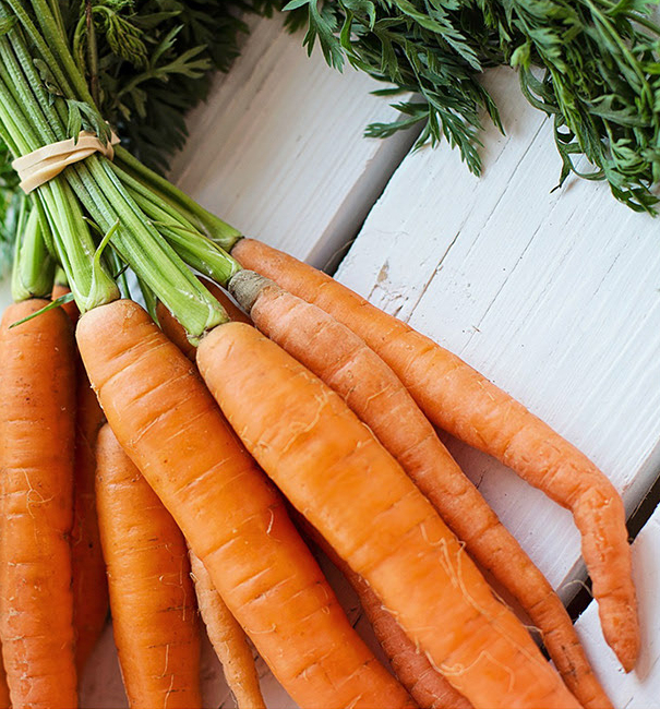 carrot image