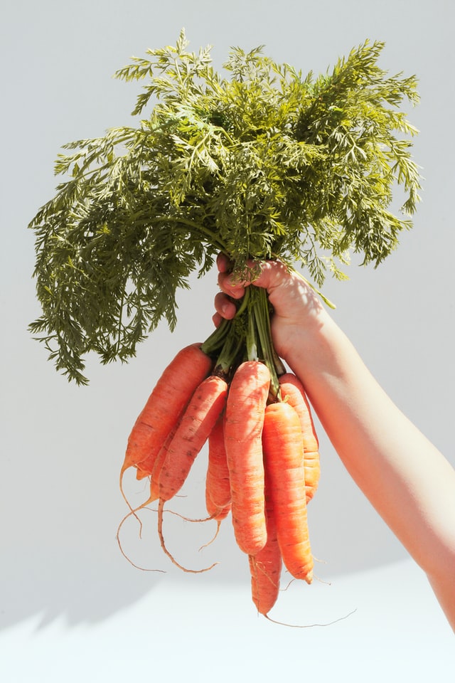 carrot image
